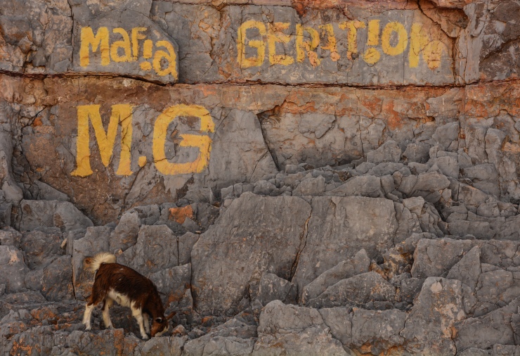Goats have always abounded in Kumzar. The Mafia and their relationship with English spellings seem to be relatively new. 